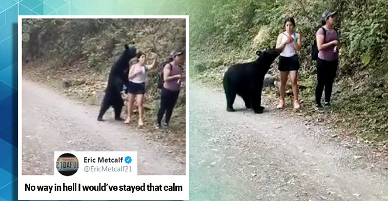 nationalist bear trending videos-girl